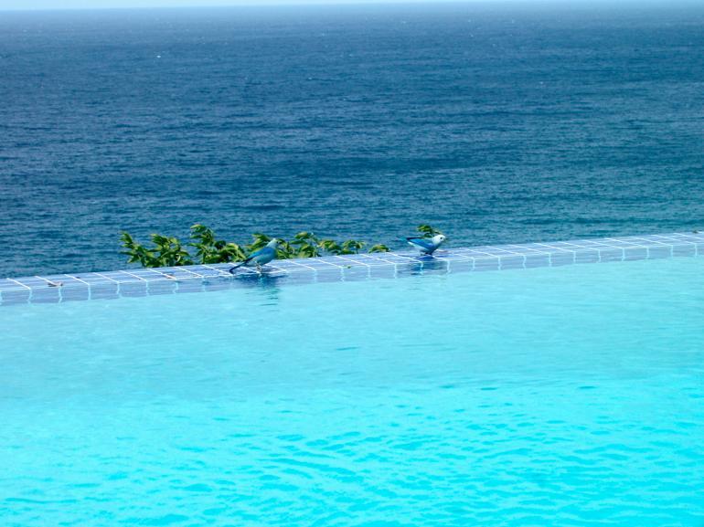 Being Villa Plymouth Luaran gambar